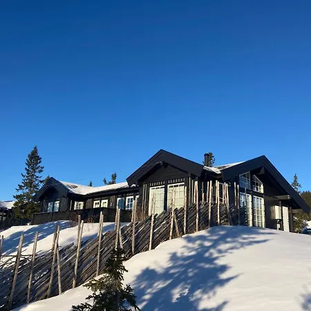 Large Beautiful Inout On Sjusjoen