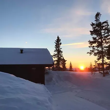 Large Beautiful Inout On Sjusjoen